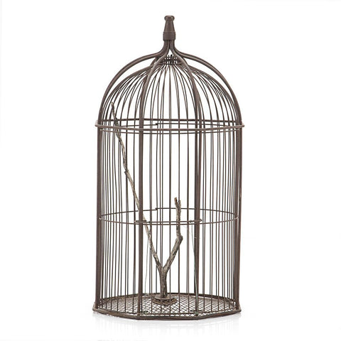 Birdcage with Tree Branch Perch