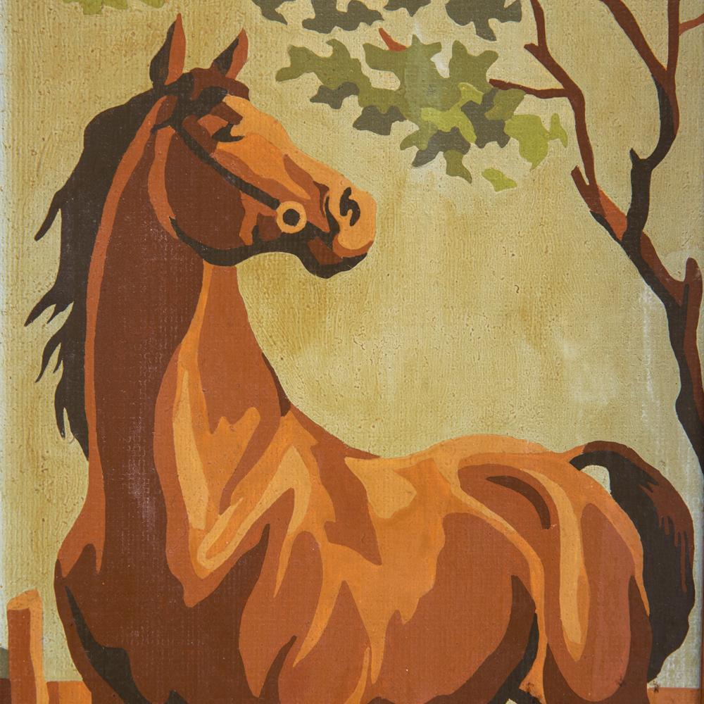 1029 (A+D) PBN - Pony Looking Right