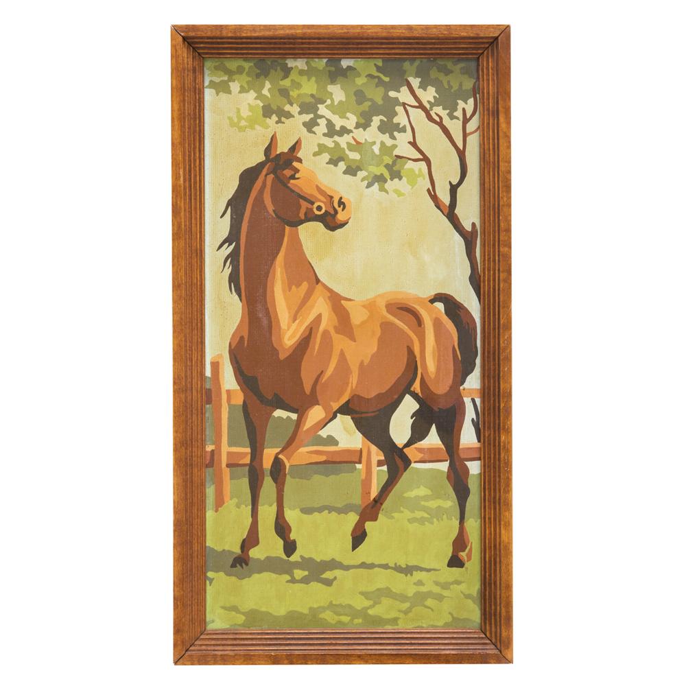 1029 (A+D) PBN - Pony Looking Right