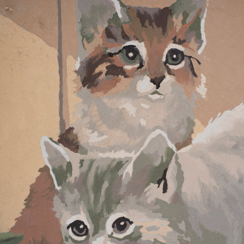 1091 (A+D) PBN - Kitty Cats Plant