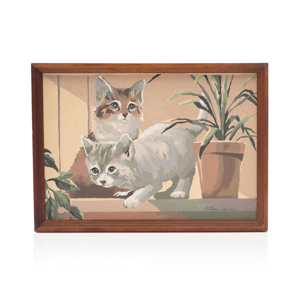 1091 (A+D) PBN - Kitty Cats Plant