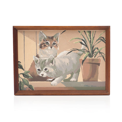 1091 (A+D) PBN - Kitty Cats Plant