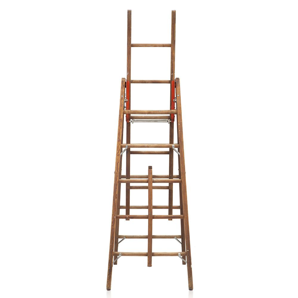 Fruit Picking Ladder