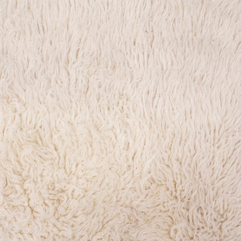 Small White Shag Rug