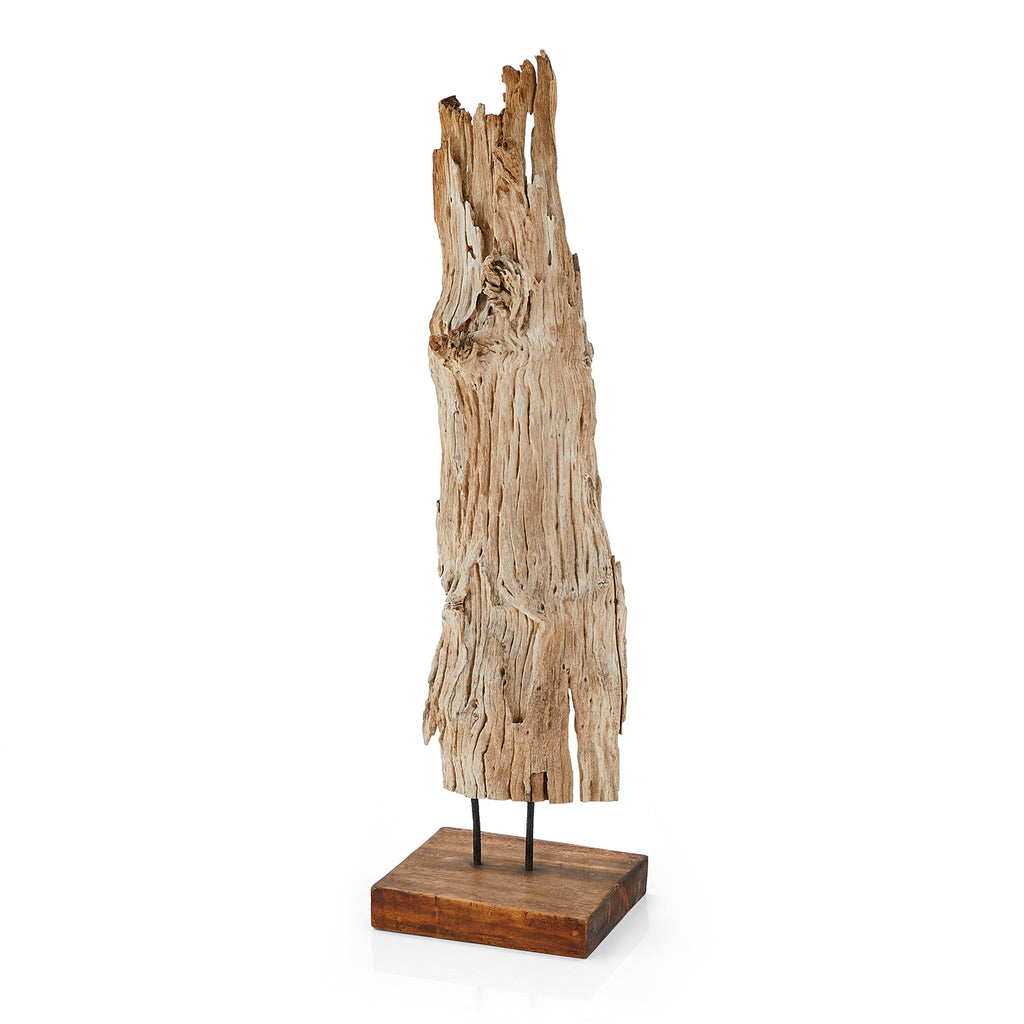 Tree Bark on Pedestal