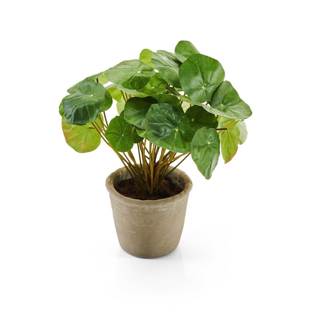 Green Geranium Faux Potted Plant (A+D)