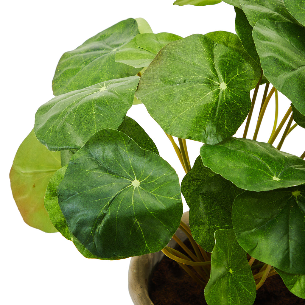 Green Geranium Faux Potted Plant (A+D)