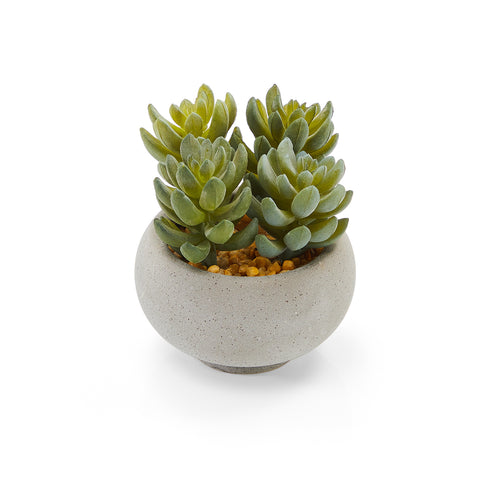 Grey Plastic Succulent (A+D)