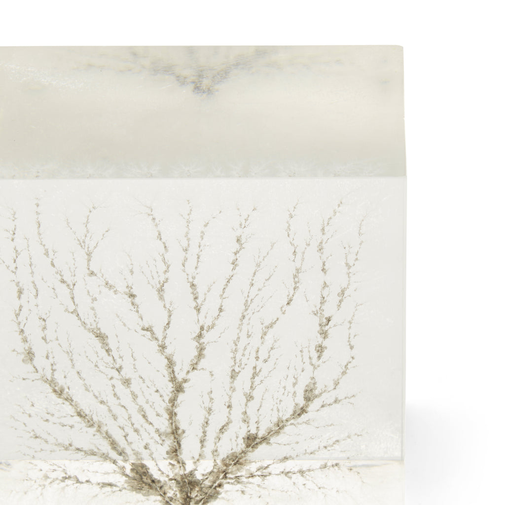 Glass Block Paperweight with Tree Design
