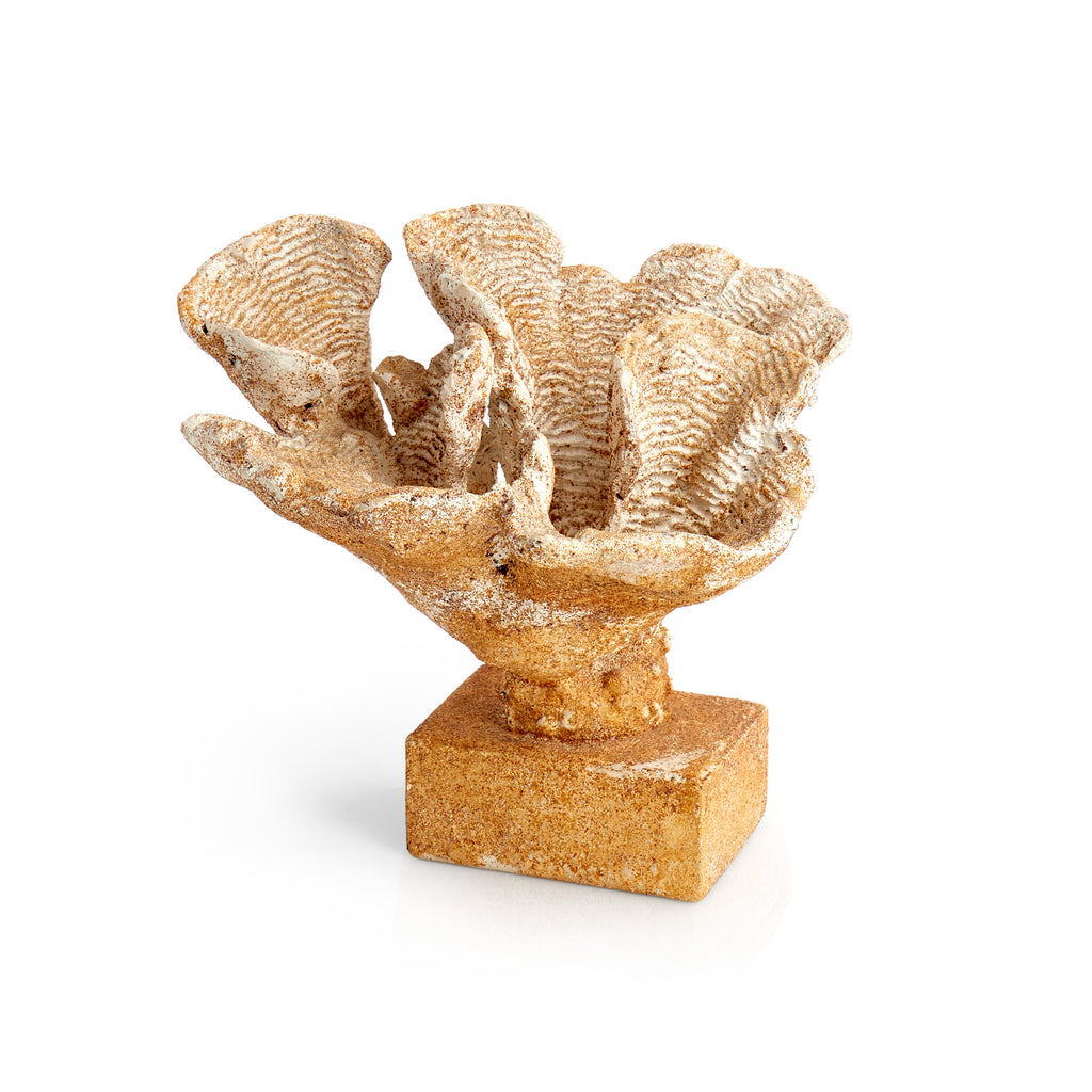 Beige Coral Statue