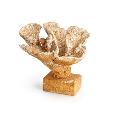 Beige Coral Statue