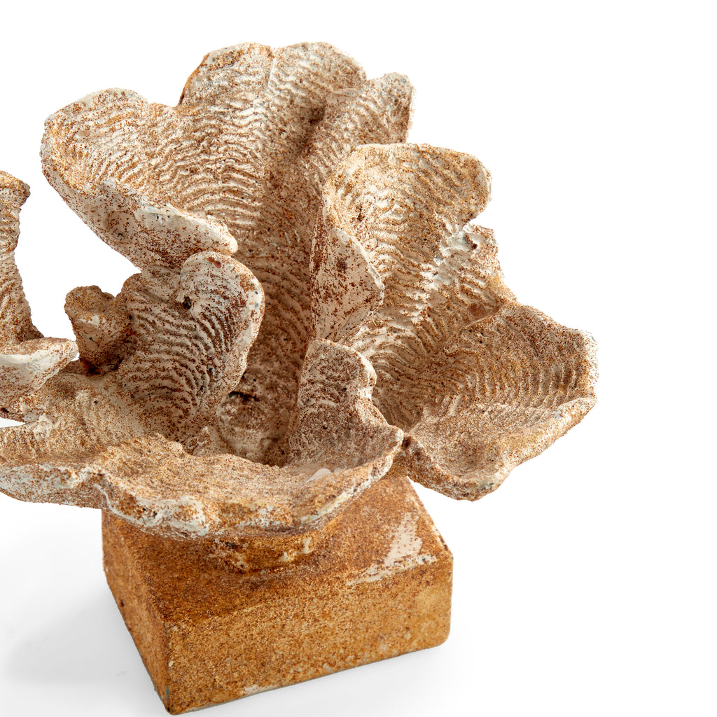 Beige Coral Statue
