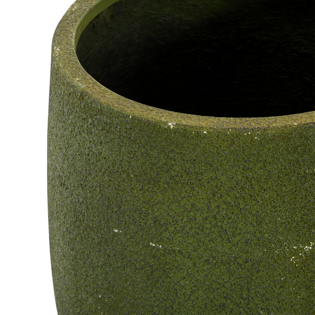 Green Moss Planter High