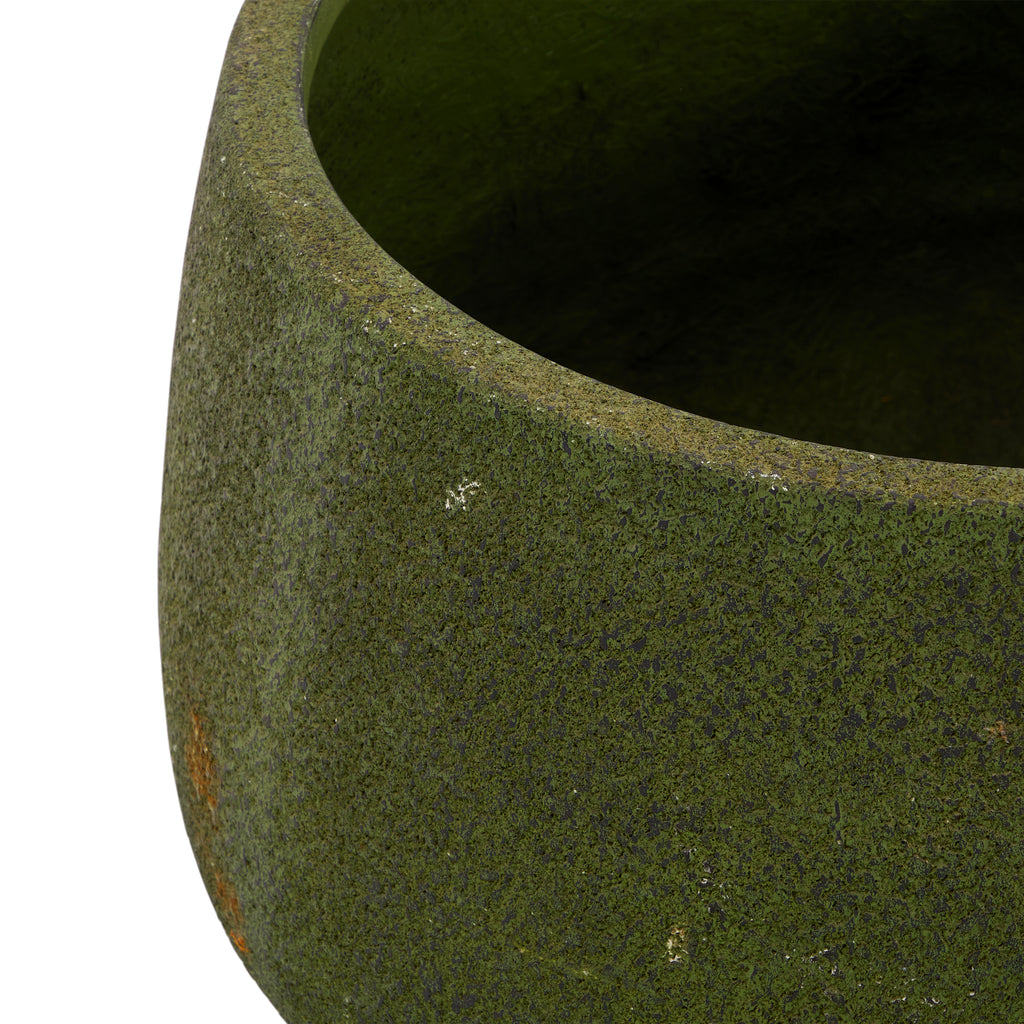Green Moss Planter Low