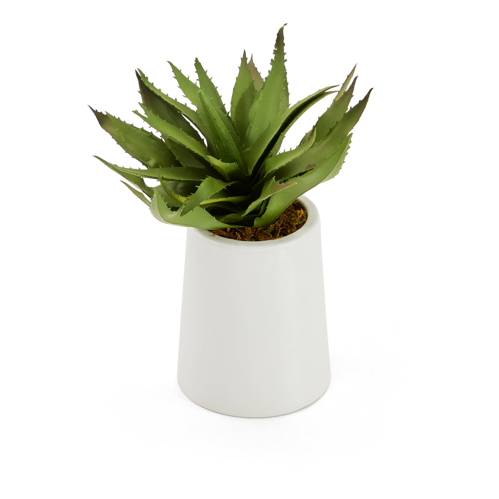 White Tapered Pot with Faux Aloe Plant
