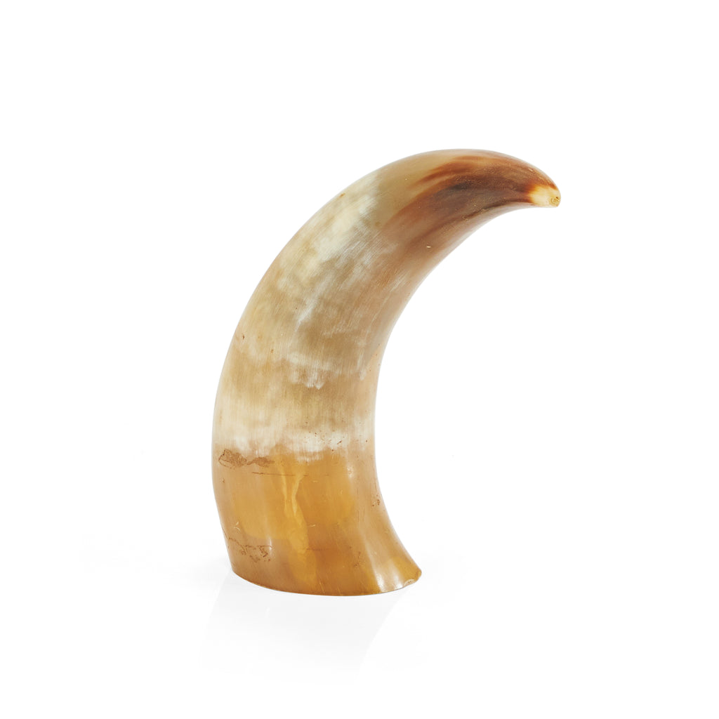 Tan Animal Horn