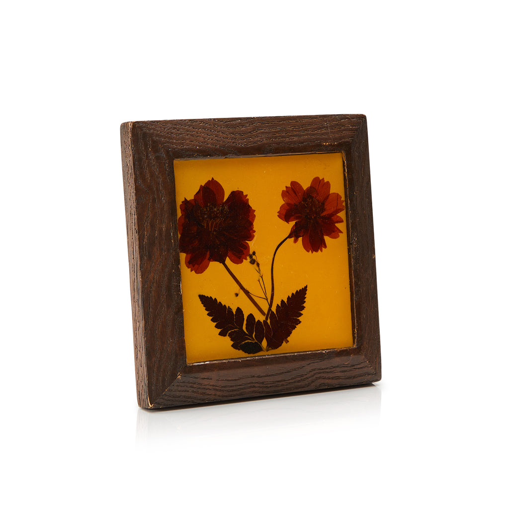 Amber Pressed Flower Wood Frame Art (A+D)