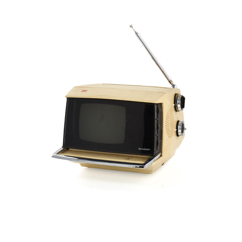 Beige Sharp Portable Television