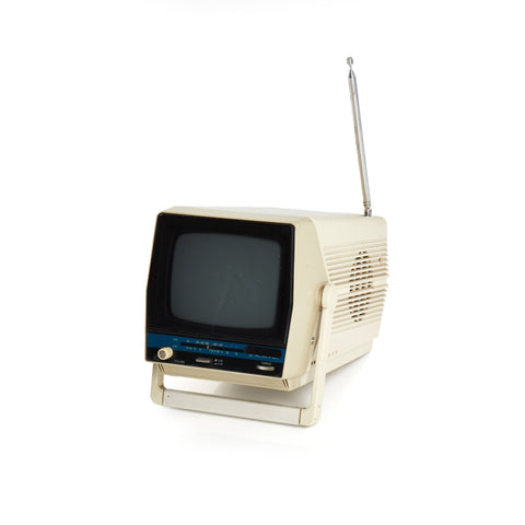 Portable AC/DC Television with Handle/Stand