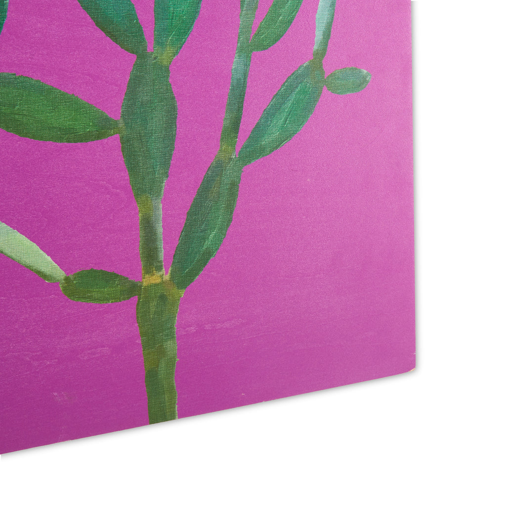1174 (A+D) Cacti Pink