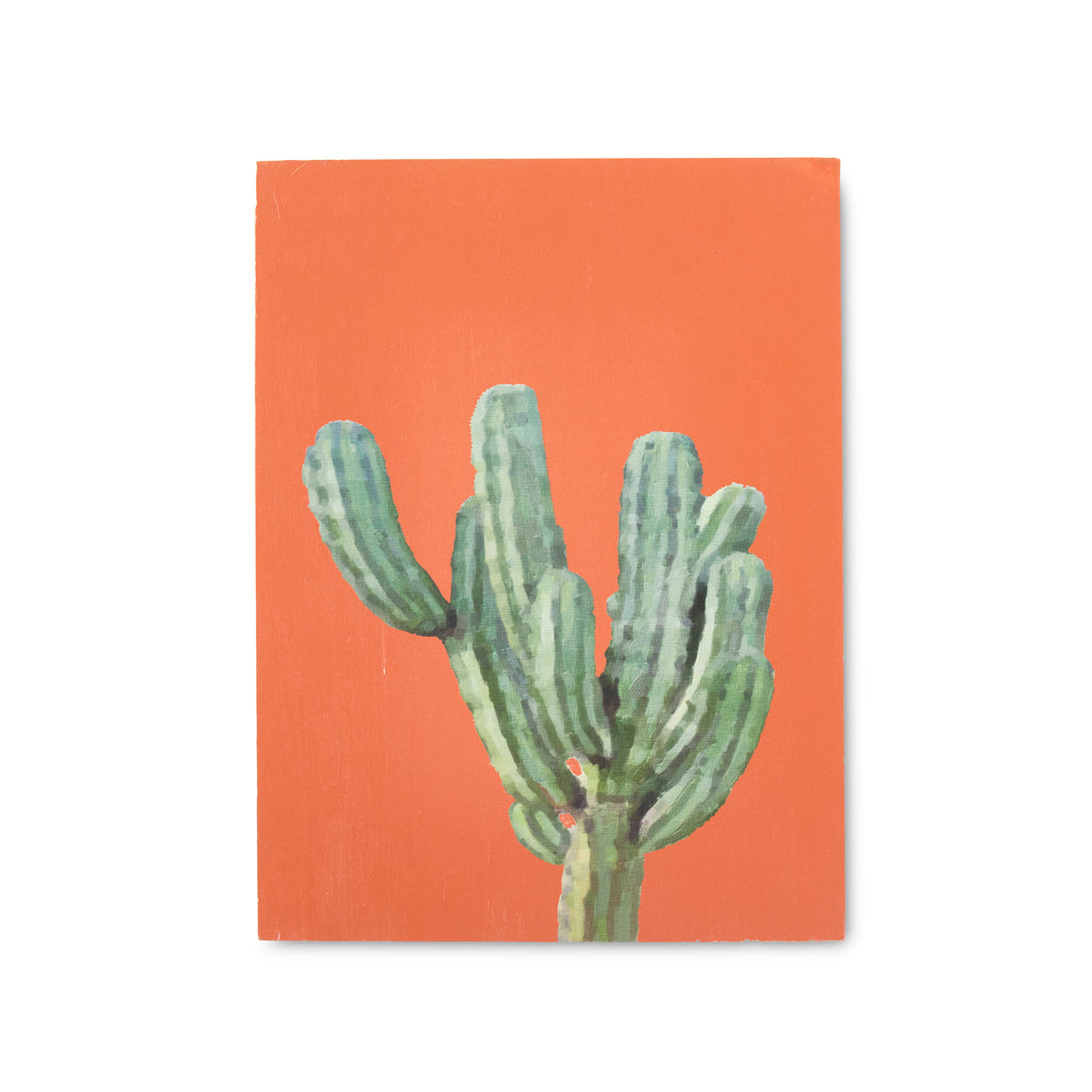 1171 (A+D) Cacti Orange