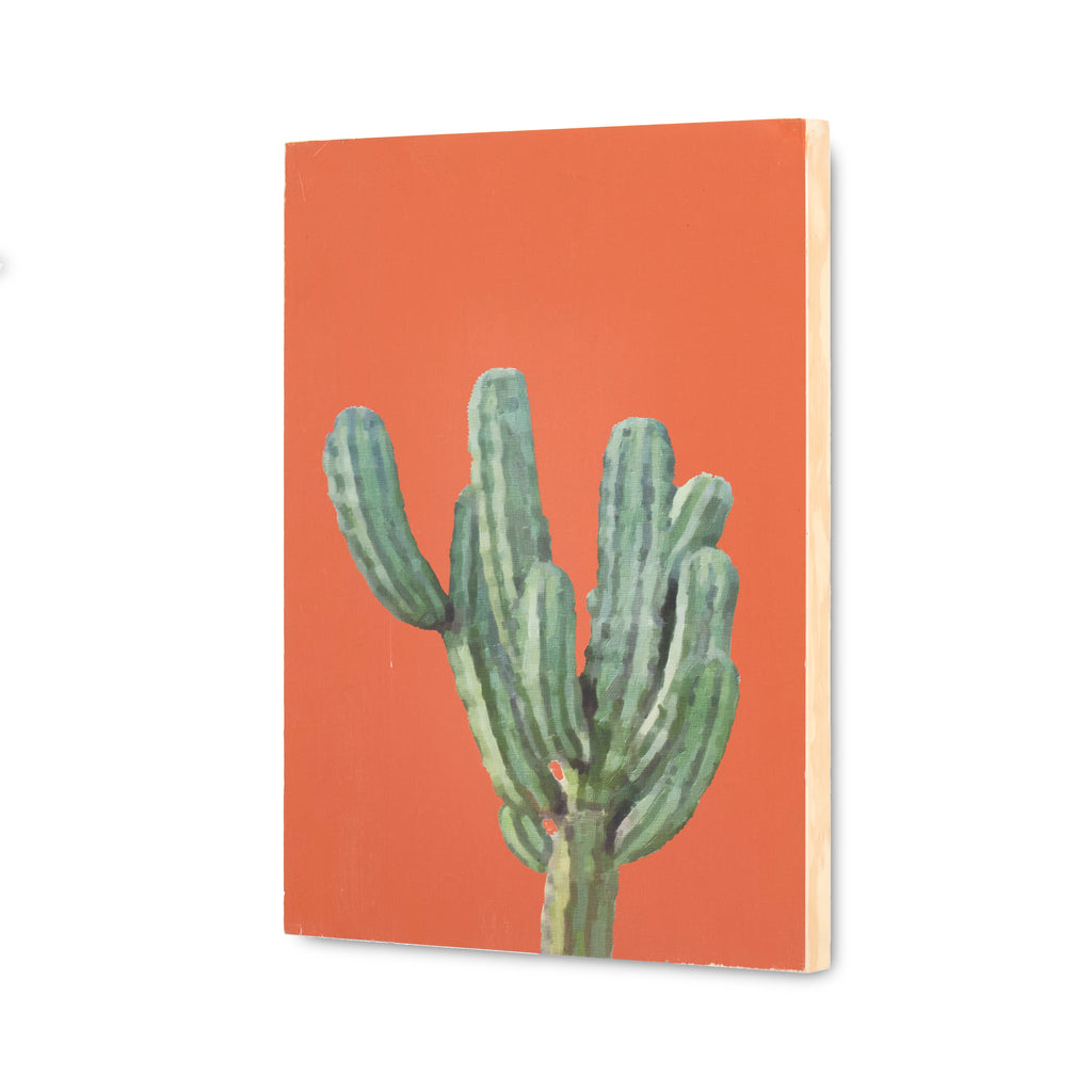 1171 (A+D) Cacti Orange