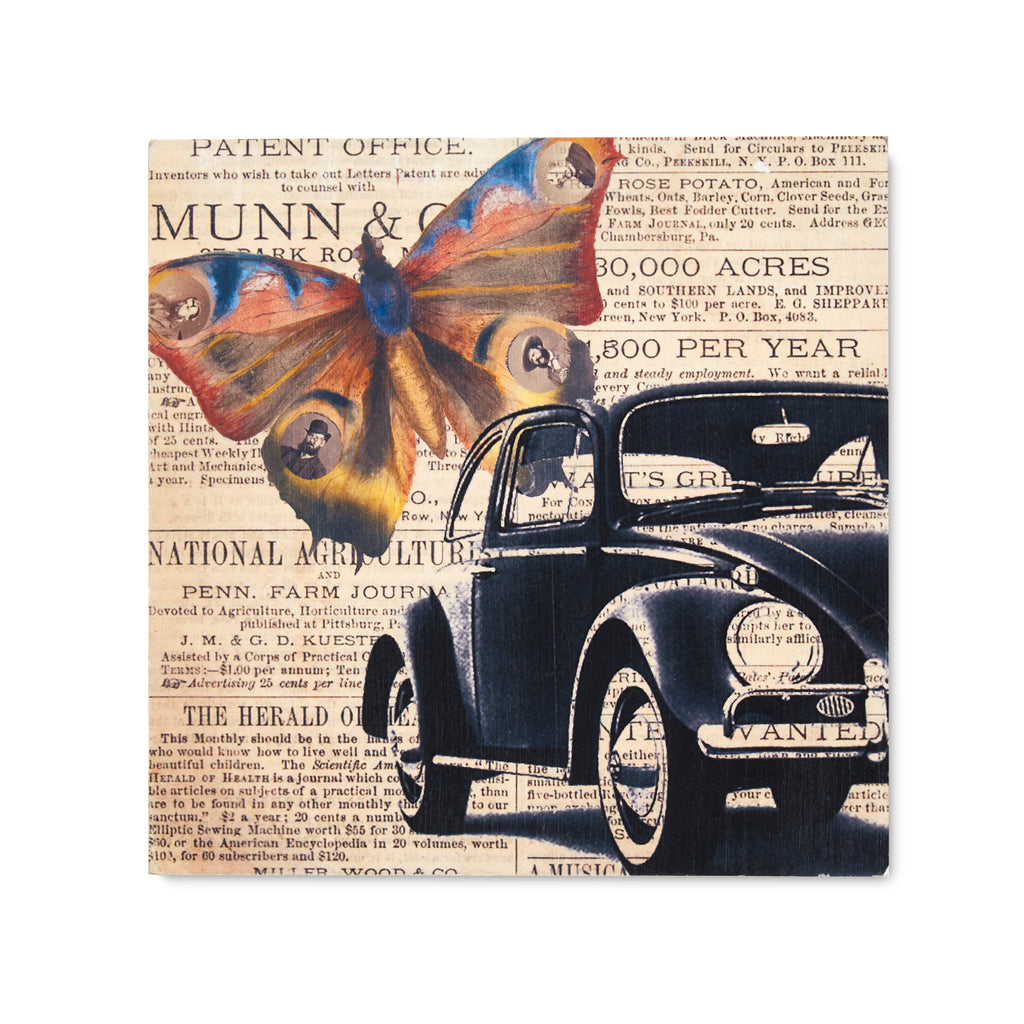 0124 (A+D) Butterfly Beetle (8" x 8")