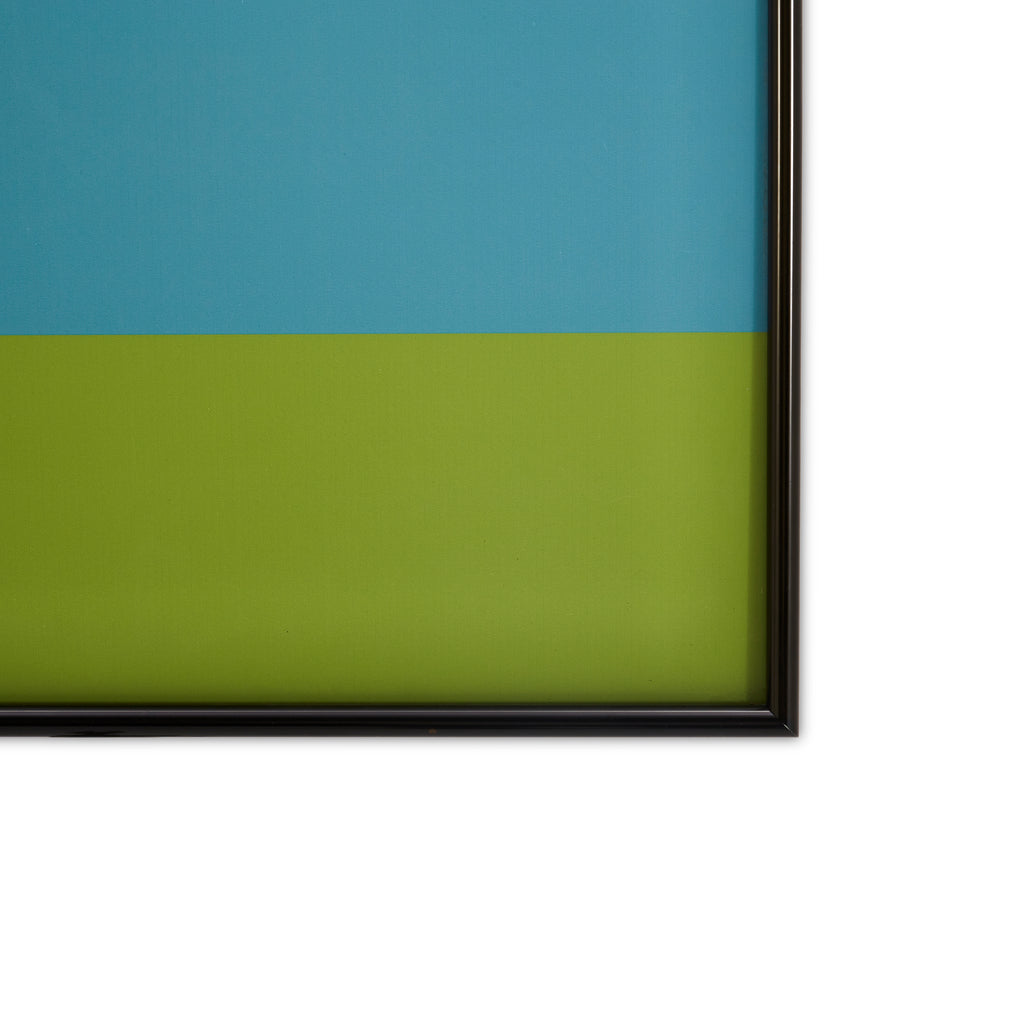 0700 (A+D) Medium Color Field RGB (22" x 28")