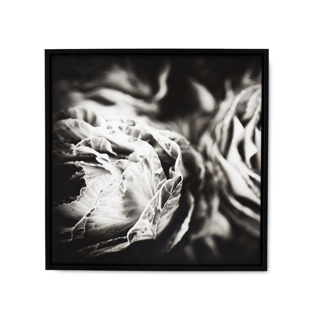 1076 (A+D)  BW Floral 24 x 24 A
