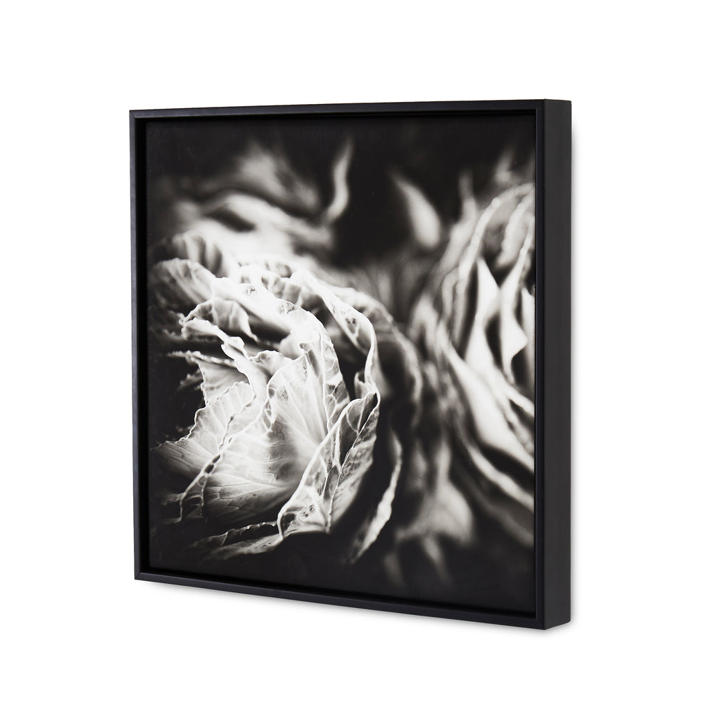 1076 (A+D)  BW Floral 24 x 24 A