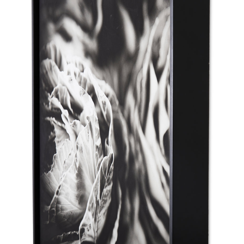 1076 (A+D)  BW Floral 24 x 24 A