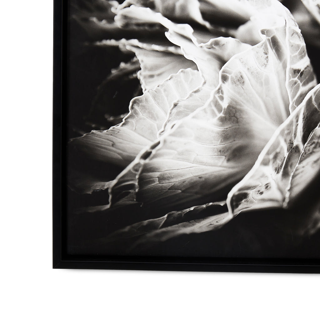 1076 (A+D)  BW Floral 24 x 24 A