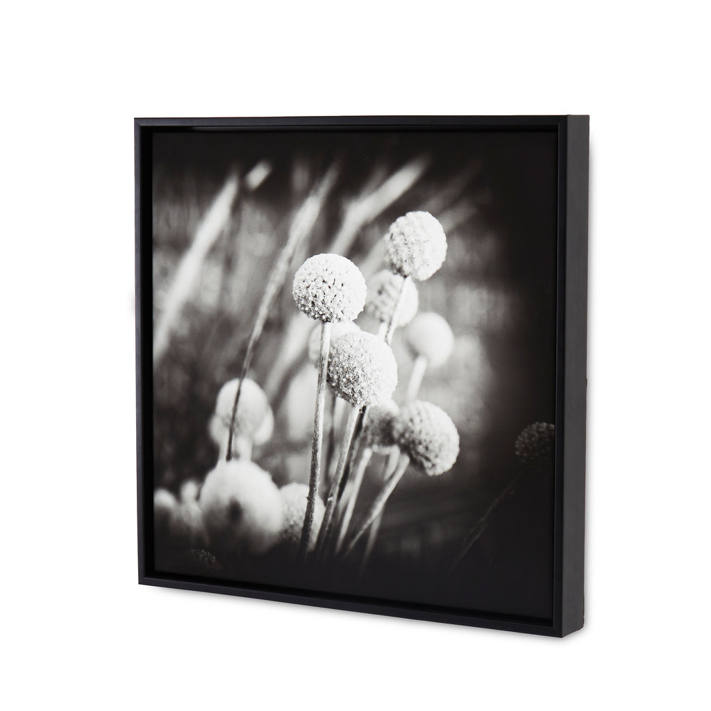 1077 (A+D)  BW Floral 24 x 24 B