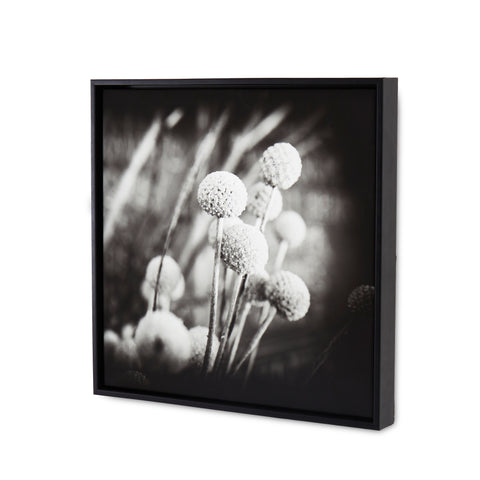 1077 (A+D)  BW Floral 24 x 24 B
