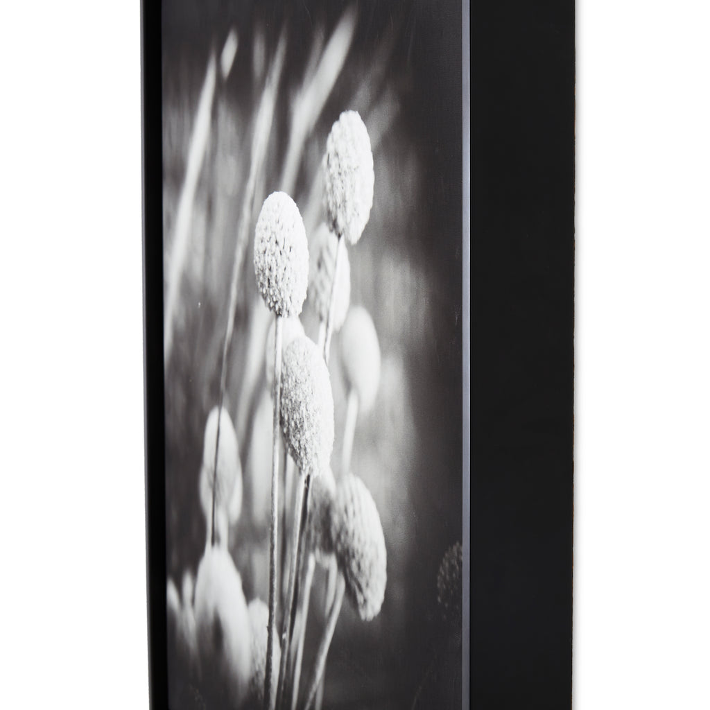 1077 (A+D)  BW Floral 24 x 24 B
