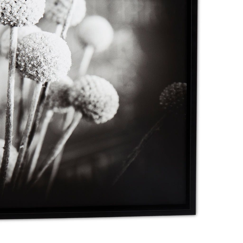 1077 (A+D)  BW Floral 24 x 24 B