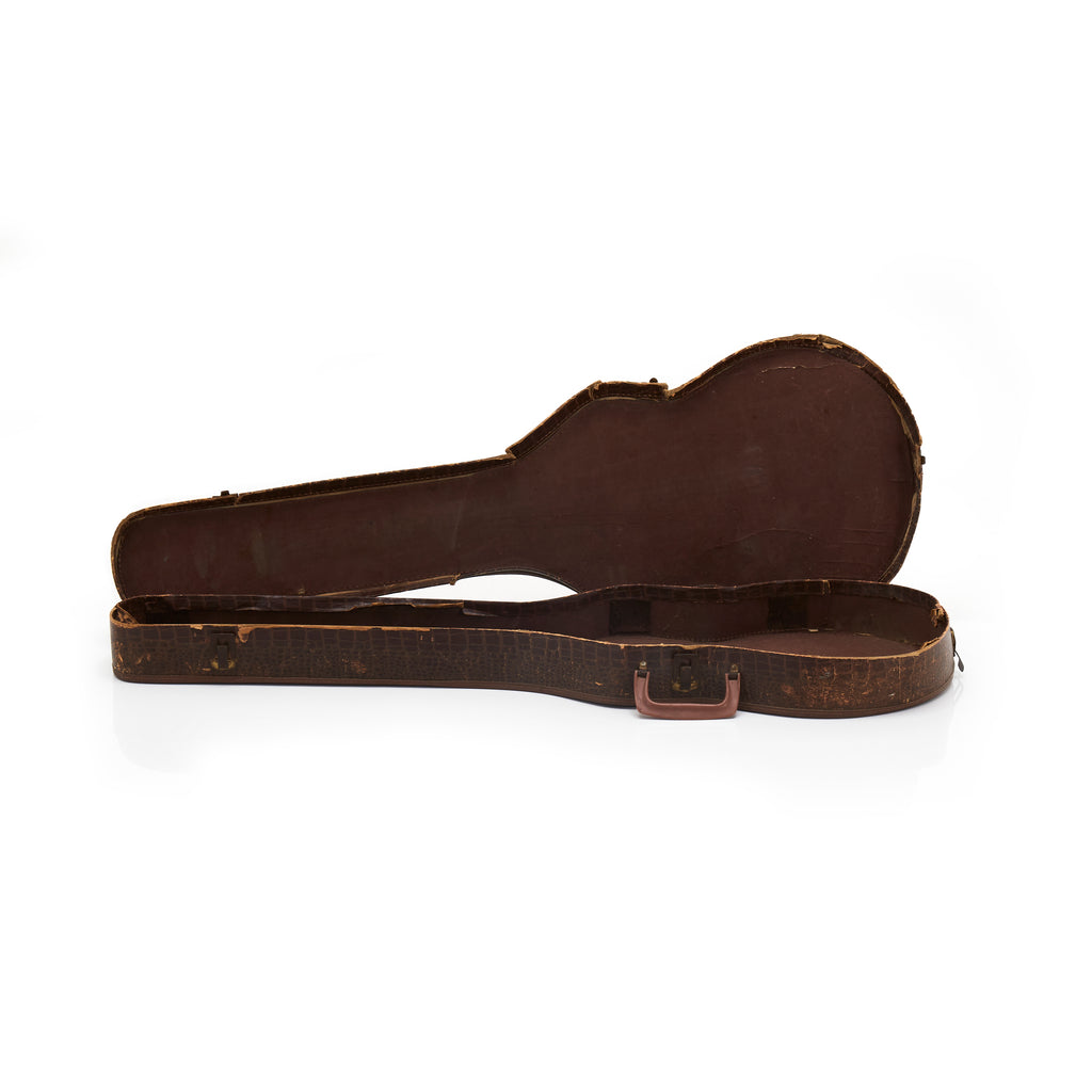Brown Alligator Skin Guitar Case