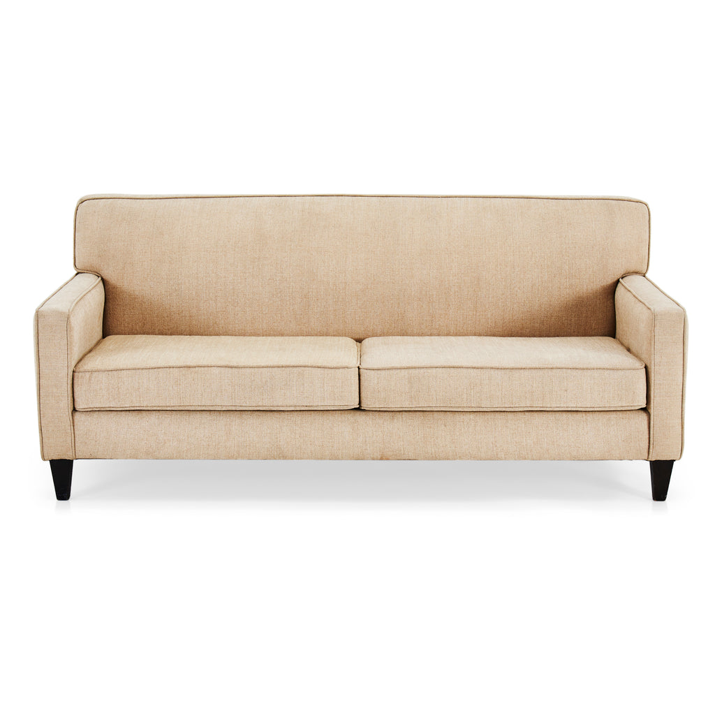 Beige Contemporary Sofa