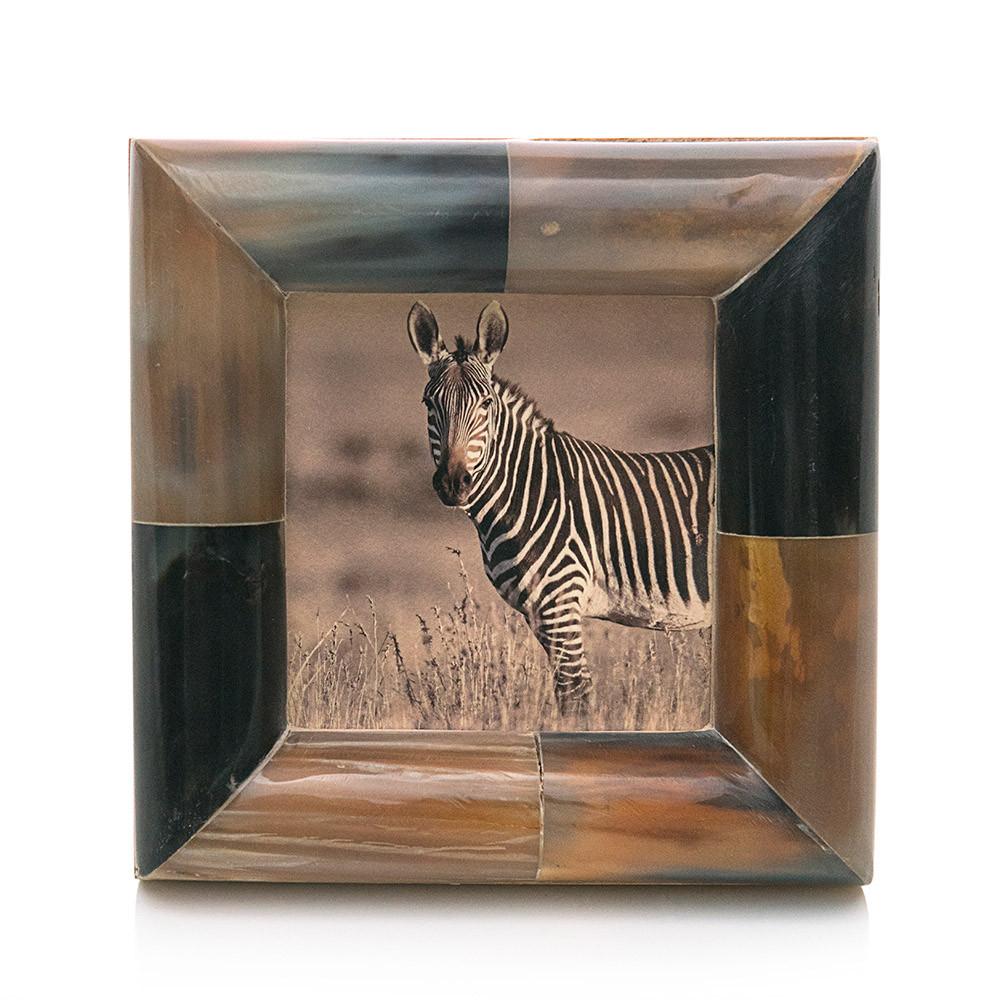 0914 (A+D) African Zebra