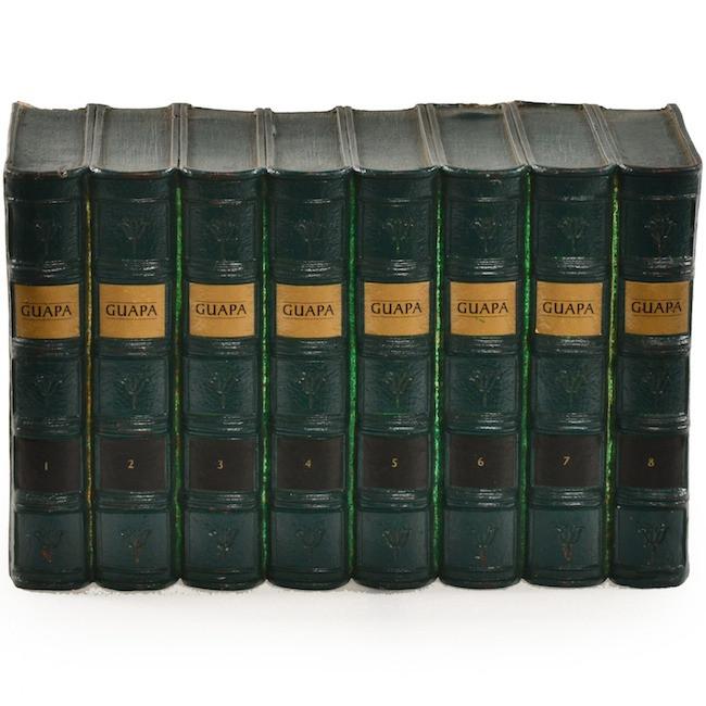 Faux Books - Guapa