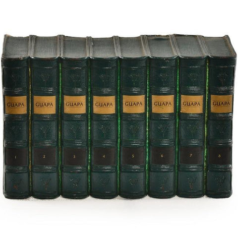 Faux Books - Guapa