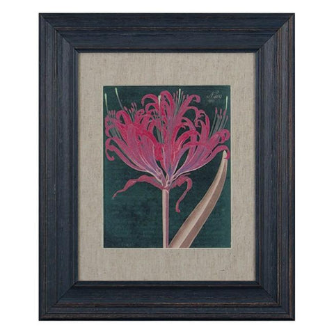 0220 (A+D) Botanical Red