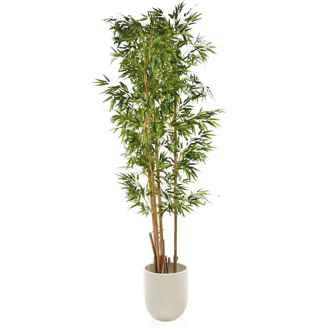 Bamboo Tree