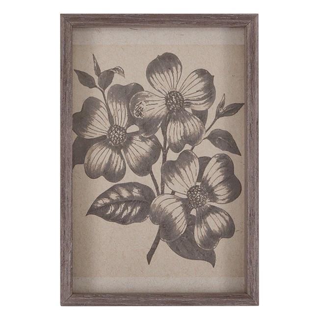 0496 (A+D) Dogwood Engraving