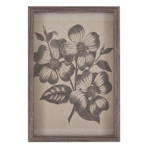 0496 (A+D) Dogwood Engraving