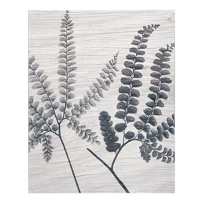 0335 (A+D) Indian Ferns Black on White (16" x 20")