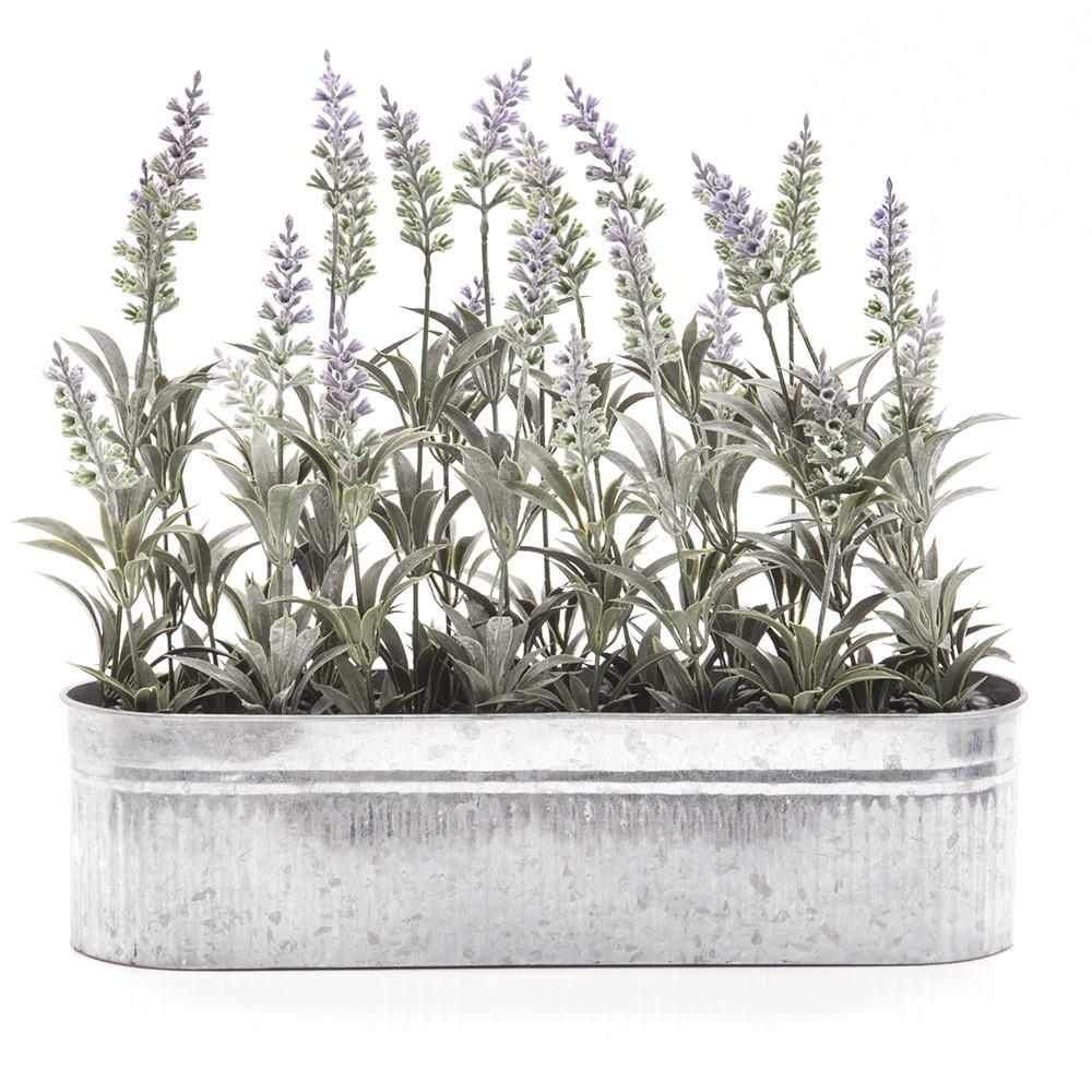 Silver Aluminum Planter with Lavender Long (A+D)