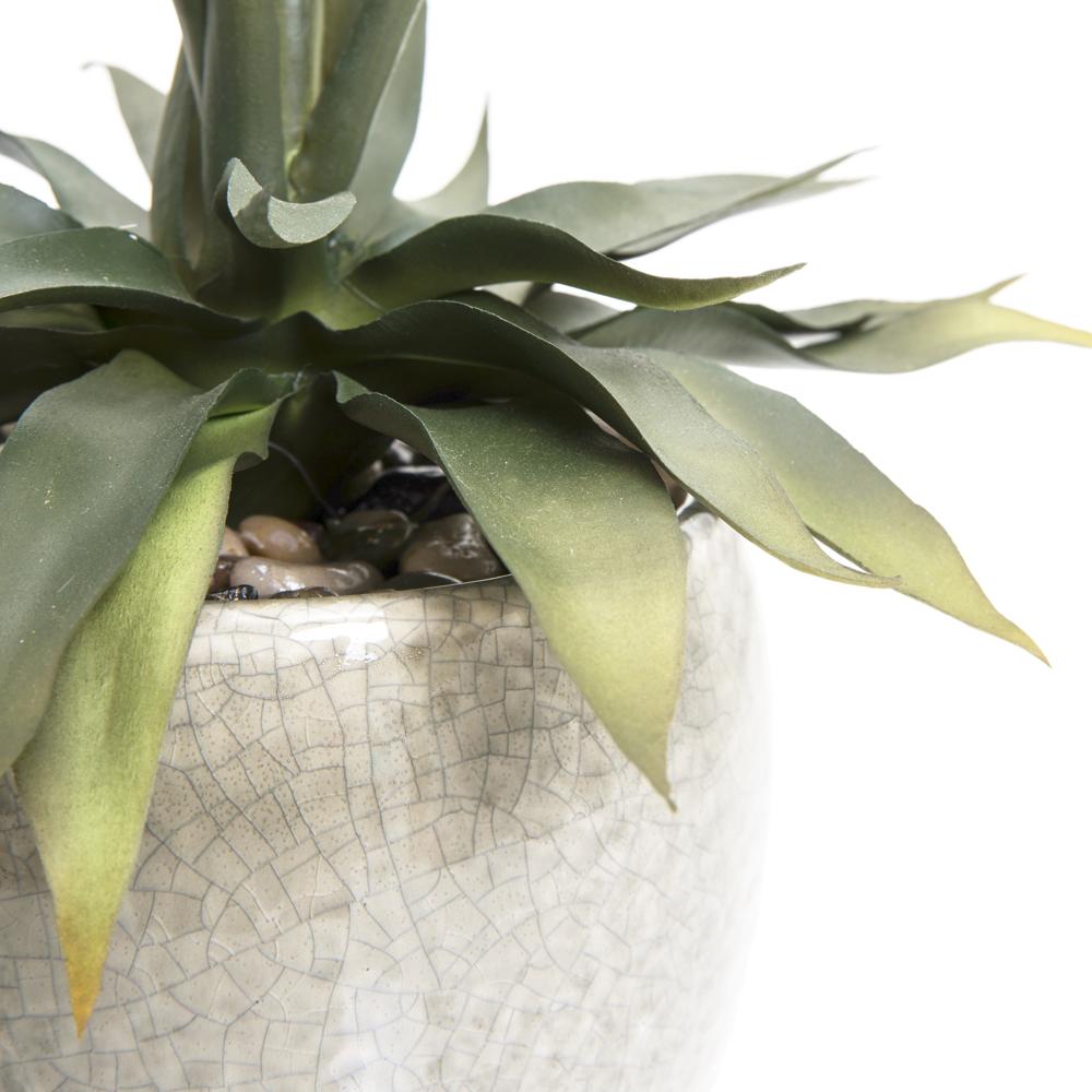 Silver Crackle Ceramic Pot with Succulent (A+D)