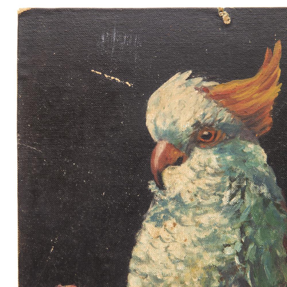 00.28 (A+D) Multi Oil Painting of Bird