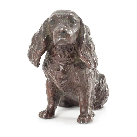 Brown Copper Spaniel (A+D)